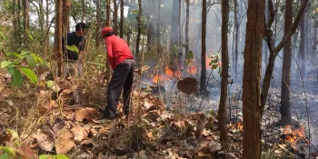Making firebreaks in the forest surrounding Doi Suthep (File photo)