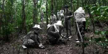 Central grip on Thai community forests must end, say local advocates