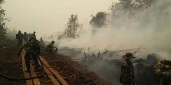 Forest fire in Kalimantan, Borneo - As in Sumatra, forest fires are common in this province. (Photo by David Gaveau)
