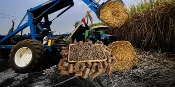 Rethinking cane field waste treatment to curb PM2.5